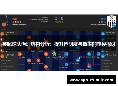 英超球队治理结构分析：提升透明度与效率的路径探讨