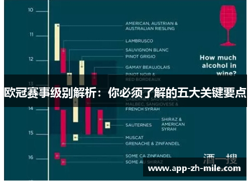 欧冠赛事级别解析：你必须了解的五大关键要点