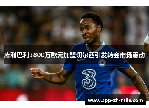 库利巴利3800万欧元加盟切尔西引发转会市场震动